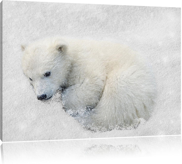 Pixxprint Süsser junger Eisbär im Schnee B&W Detail, Format: 100x70 auf Leinwand, 100x70