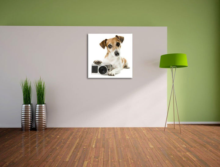 Pixxprint Niedlicher Hundewelpe mit Kamera als Leinwandbild/Grösse: 70x70 cm/Wandbild/Kunstdruck/fer