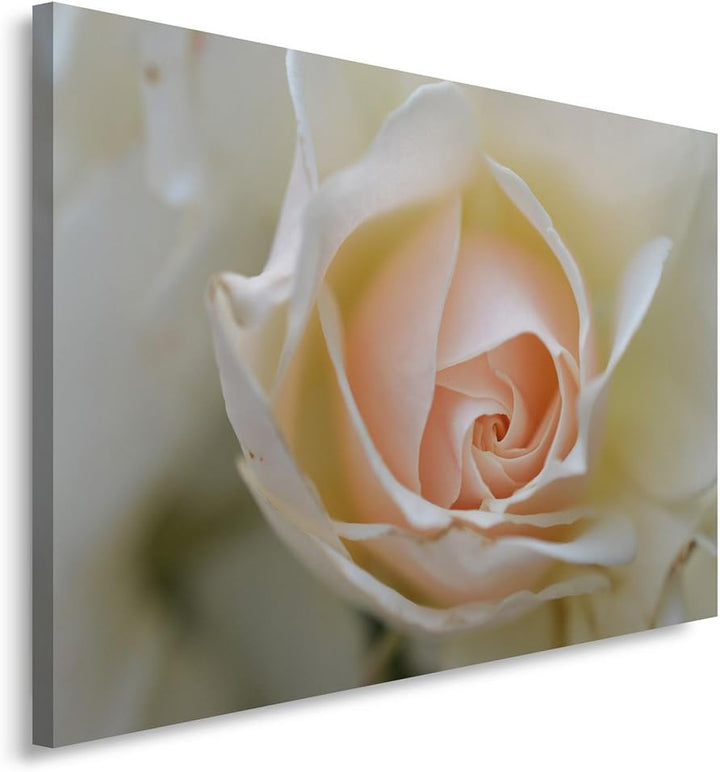 Feeby. Wandbild - 1 Teilig - 70x100 cm, Leinwand Bild Leinwandbilder Bilder Wandbilder Kunstdruck, R