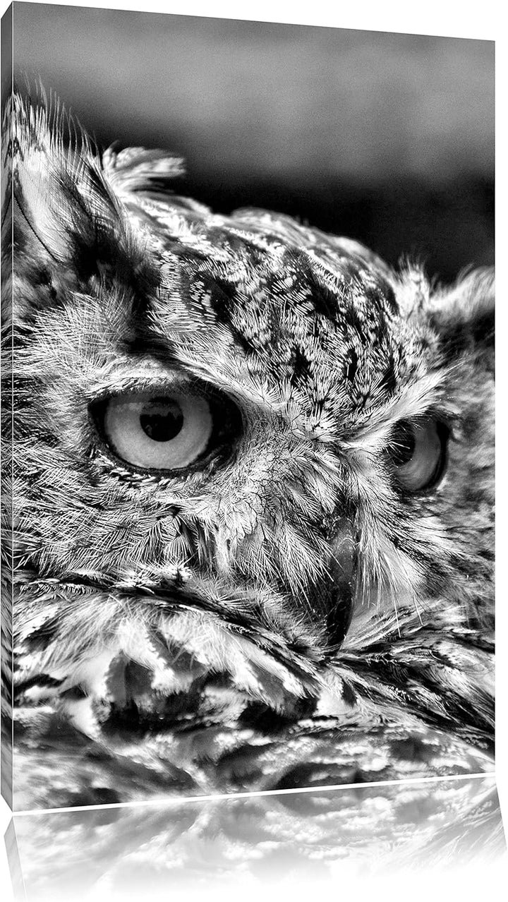 Monocrome, Eule, Format: 100x70 auf Leinwand, XXL riesige Bilder fertig gerahmt mit Keilrahmen, Kuns