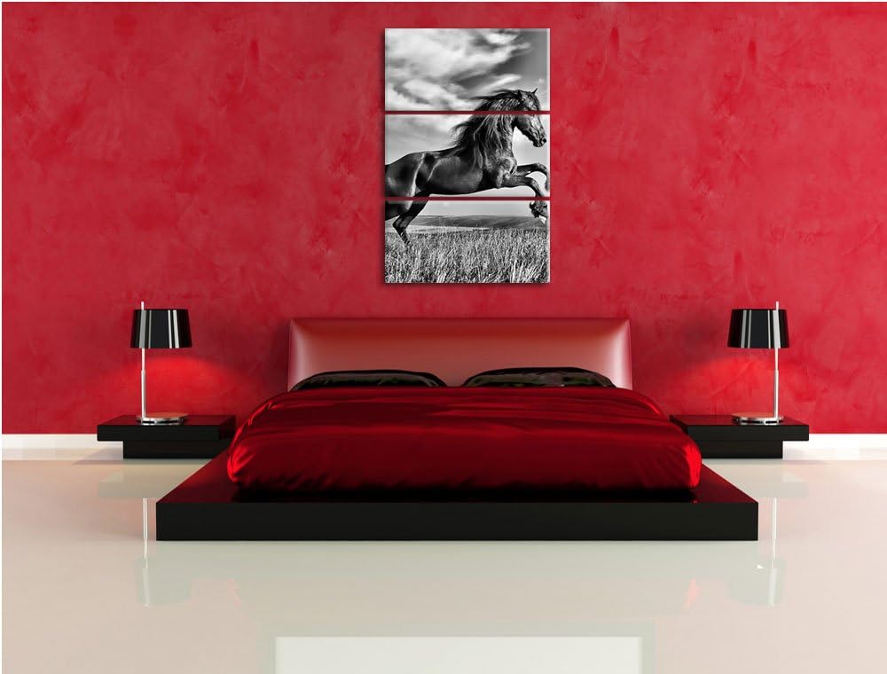 Pixxprint Monocrome, Schwarzer Hengst auf grünen Wiese 3-Teiler Leinwandbild 120x80 Bild auf Leinwan