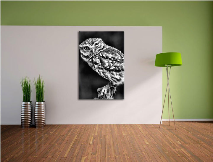 Monocrome, Eule auf Ast, Format: 100x70 auf Leinwand, XXL riesige Bilder fertig gerahmt mit Keilrahm