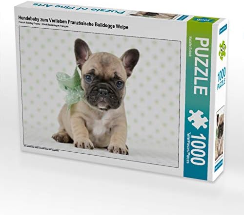 CALVENDO Puzzle Hundebaby zum Verlieben Französische Bulldogge Welpe 1000 Teile Lege-Grösse 64 x 48