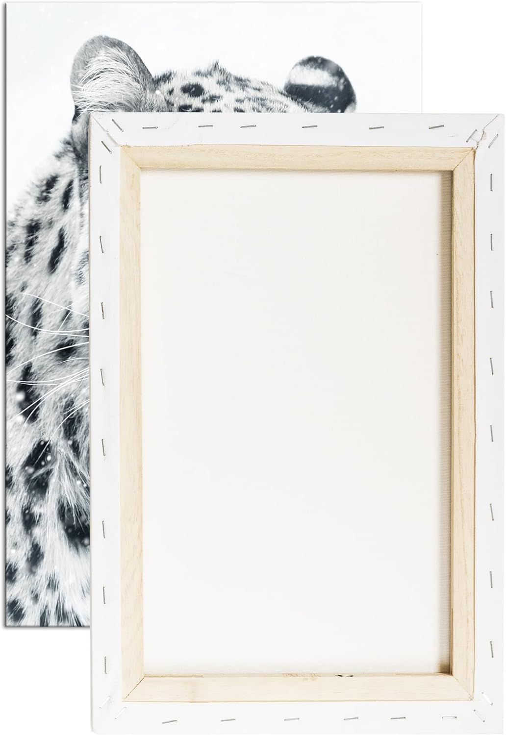 deyoli lauernder Leopard Format: 60x40 als Leinwand, Motiv fertig gerahmt auf Echtholzrahmen, Hochwe