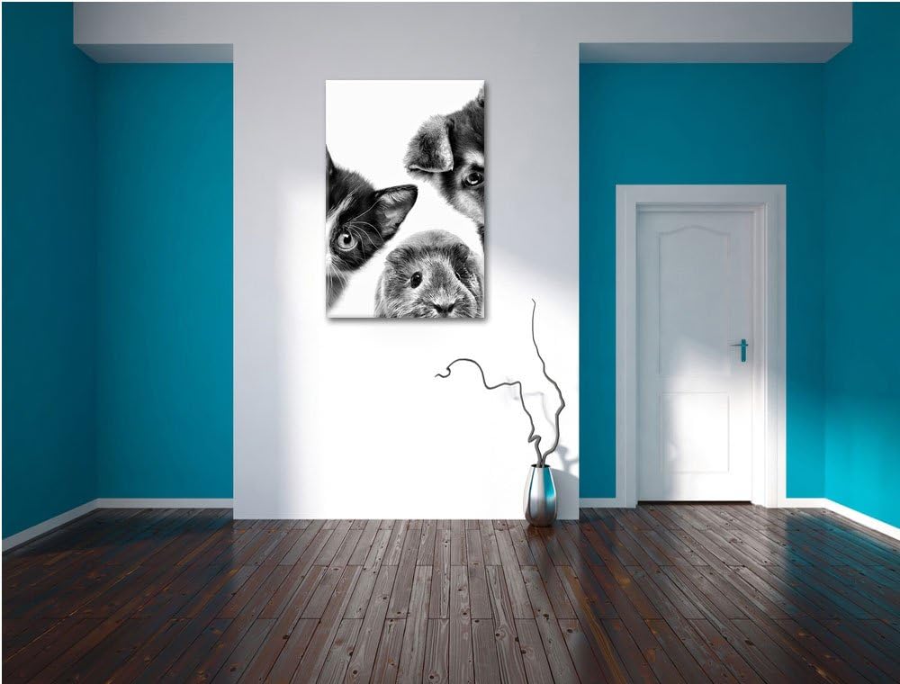 Pixxprint Trio Hund Katze Meerschwein / 100x70cm Leinwandbild bespannt auf Holzrahmen/Wandbild Kunst