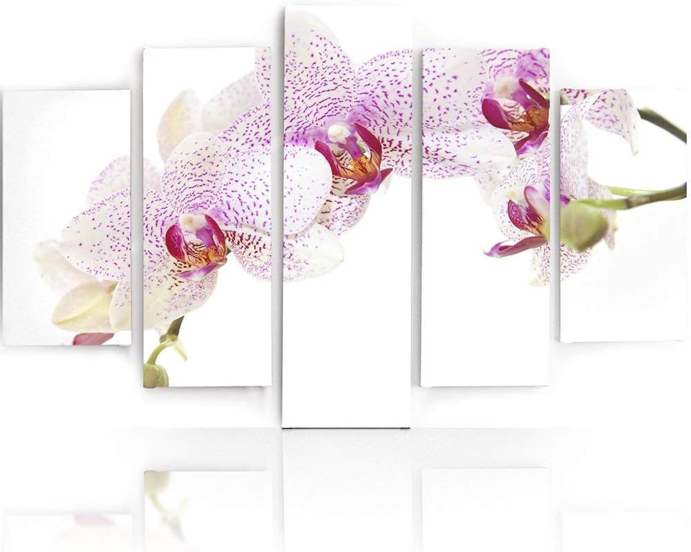 Feeby Frames, Leinwandbild, Bilder, Wand Bild - 5 Teile - Wandbilder, Kunstdruck, 250x120 cm, Typ A,