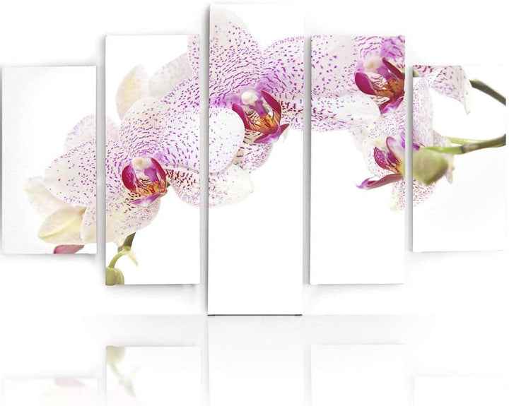 Feeby Frames, Leinwandbild, Bilder, Wand Bild - 5 Teile - Wandbilder, Kunstdruck, 250x120 cm, Typ A,