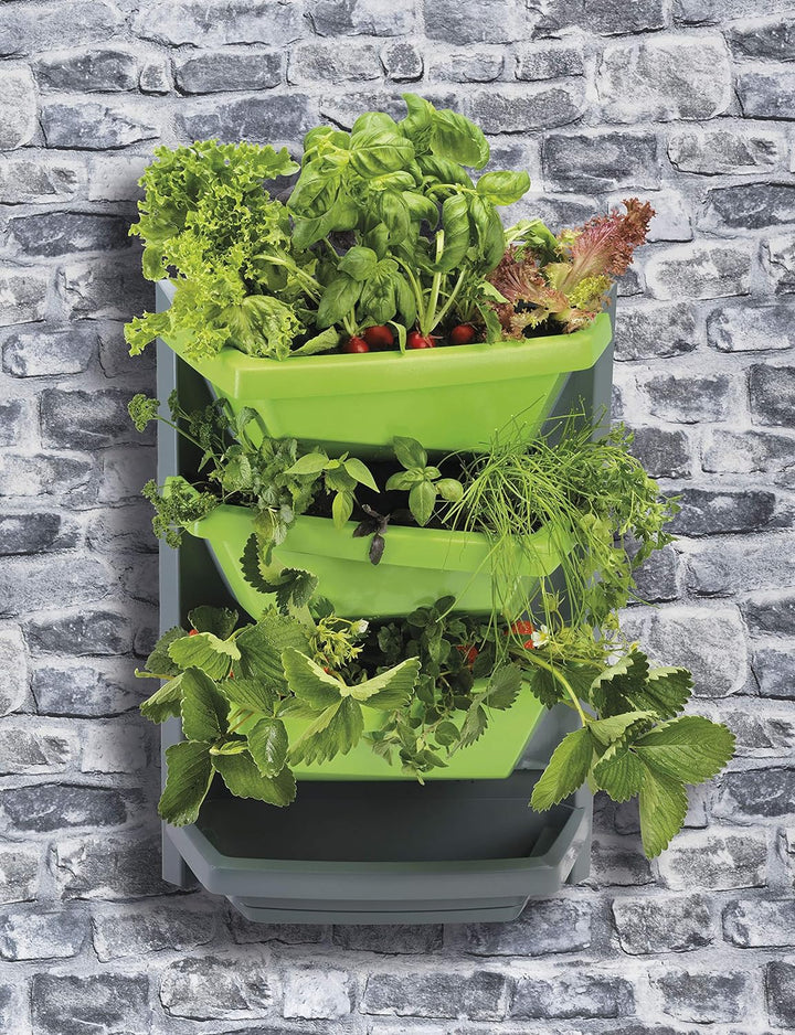 Juwel Vertical Garden Grundelement titan / limette (mit 3 Pflanzschalen, wasserdichte Rückwand, für