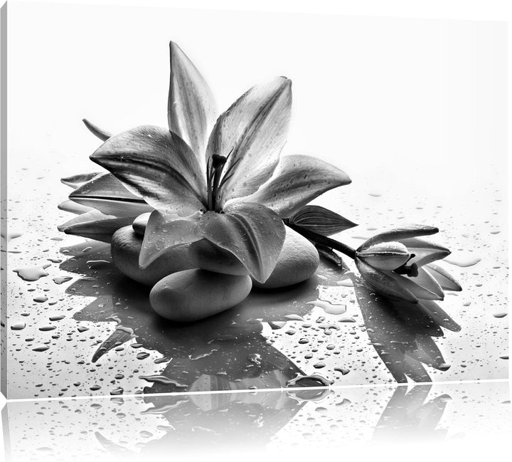 Pixxprint Düstere Lilie mit Zen Steinen als Leinwandbild | Grösse: 100x70 | Wandbild| Kunstdruck | f