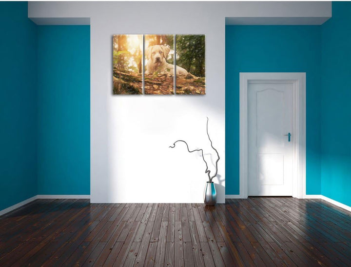 Pixxprint Hund im Wald bei Sonneuntergang / 3-Teilig/Gesamtmass 120cm Leinwandbild bespannt auf Holz
