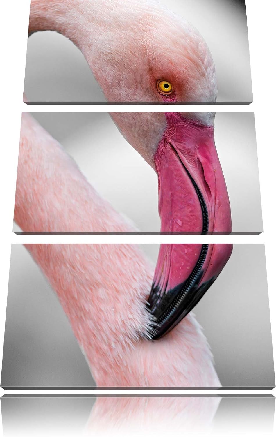 Pixxprint prächtiger Flamingo als Leinwandbild/Grösse: 3 Teilig (120x80) / Wandbild/Kunstdruck/ferti