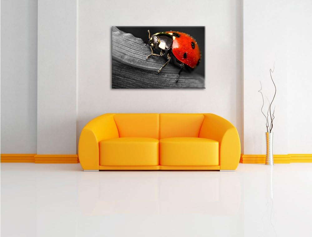 Pixxprint Marienkäfer in Detailaufnahme als Leinwandbild/Grösse: 100x70 / Wandbild/Kunstdruck/fertig