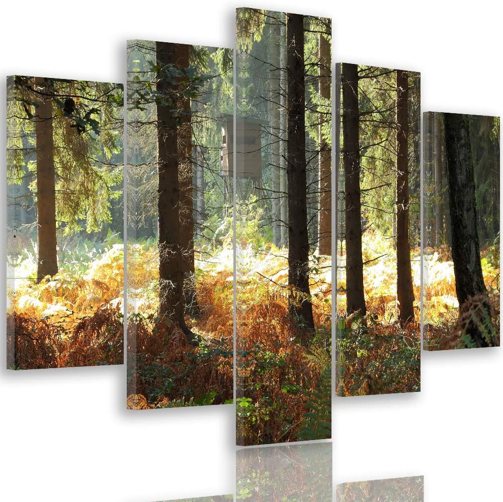 Feeby Leinwandbild Natur 5 TLG Bild Kunstdruck Wald Bäume Landschaft bunt 100x70 cm Leinwandbild 100