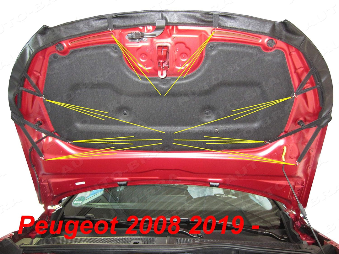 Auto-Bra AB3-00560 Carbon Optik kompatibel mit Peugeot 2008 Bj. ab 2019 Haubenbra Steinschlagschutz