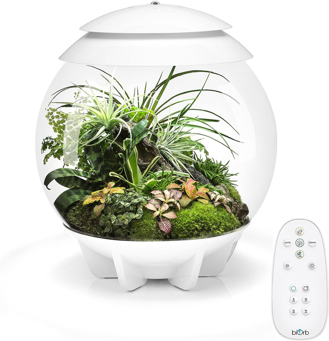 biOrb AIR 30 weiss - Terrarium mit LED-Beleuchtung / Acryl-Becken zur Pflanzenpflege / für empfindli