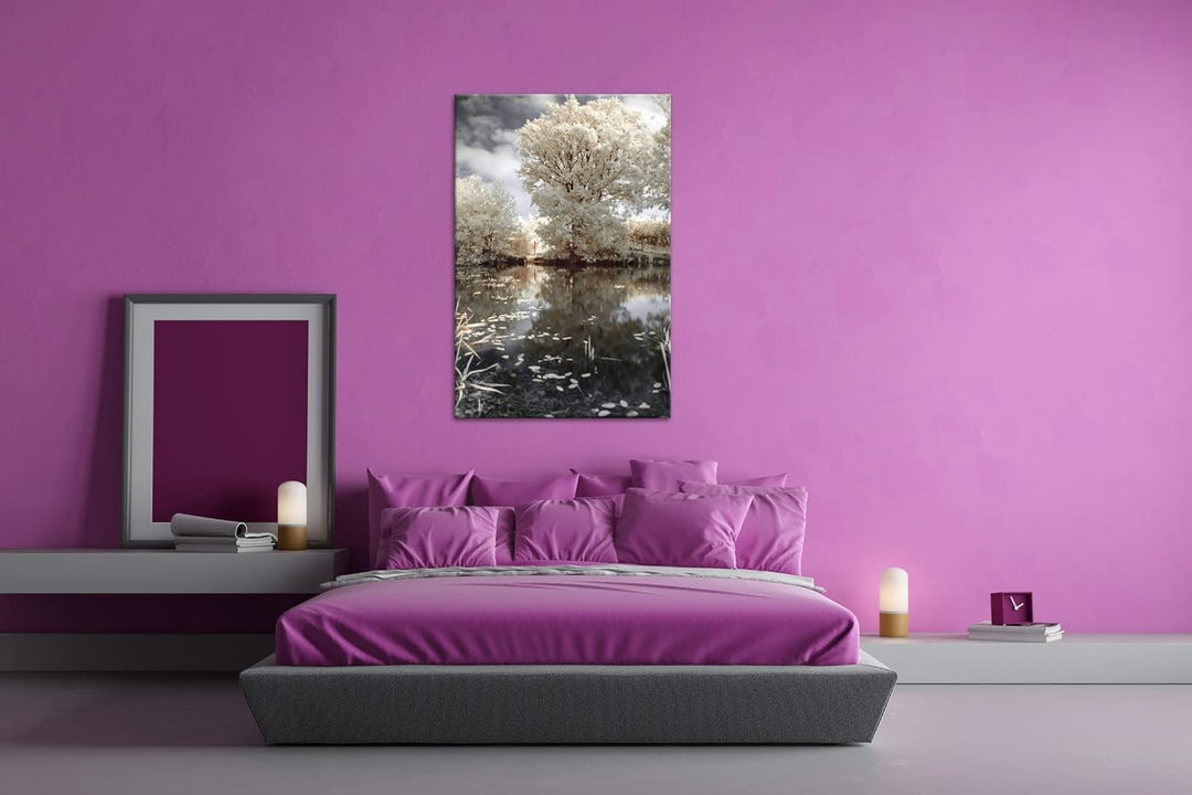 atemberaubender Baum in der Natur im Format: 80x60 als Leinwandbild, Motiv fertig gerahmt auf Echtho