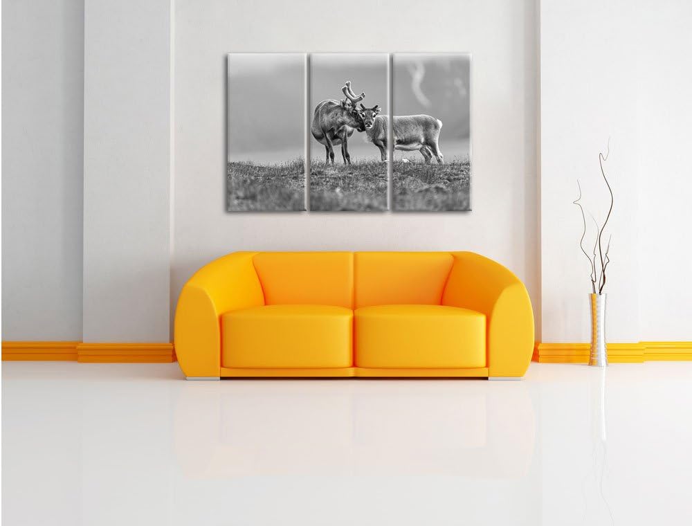 Pixxprint Rentiere die miteinander schmusen Kunst B&W 3-Teiler Leinwandbild 120x80 Bild auf Leinwand