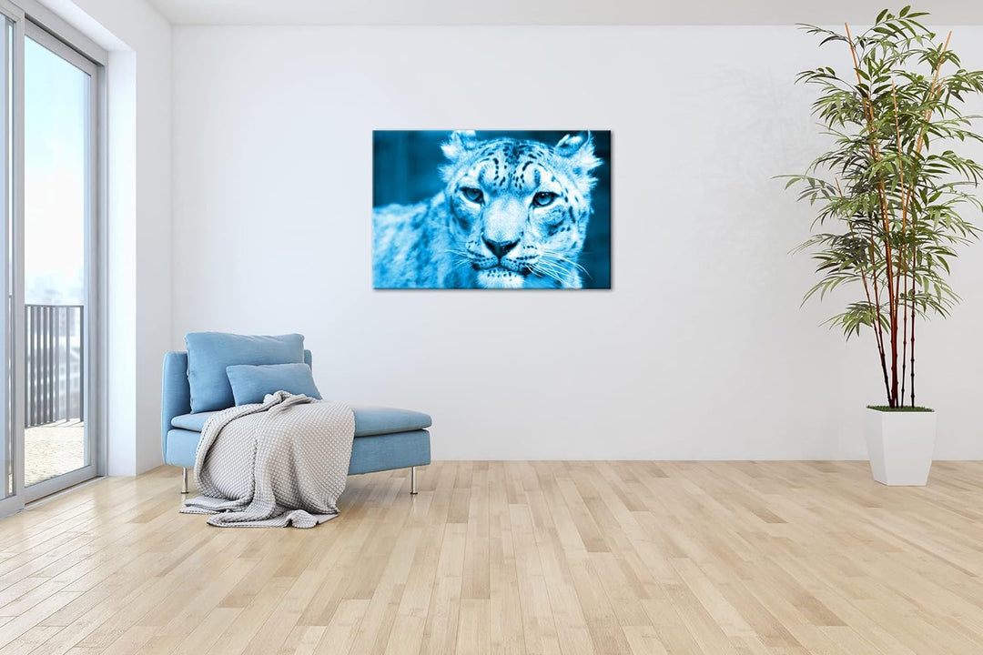 deyoli aufmerksamer Schneeleopard Format 80x60 Effekt: Monocrome Blau als Leinwandbild, Motiv fertig