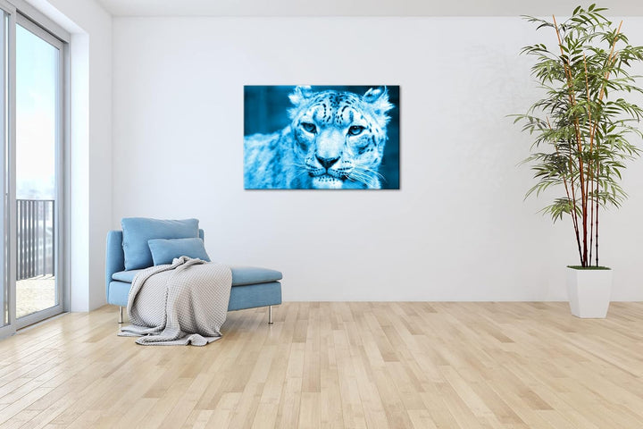 deyoli aufmerksamer Schneeleopard Format 80x60 Effekt: Monocrome Blau als Leinwandbild, Motiv fertig