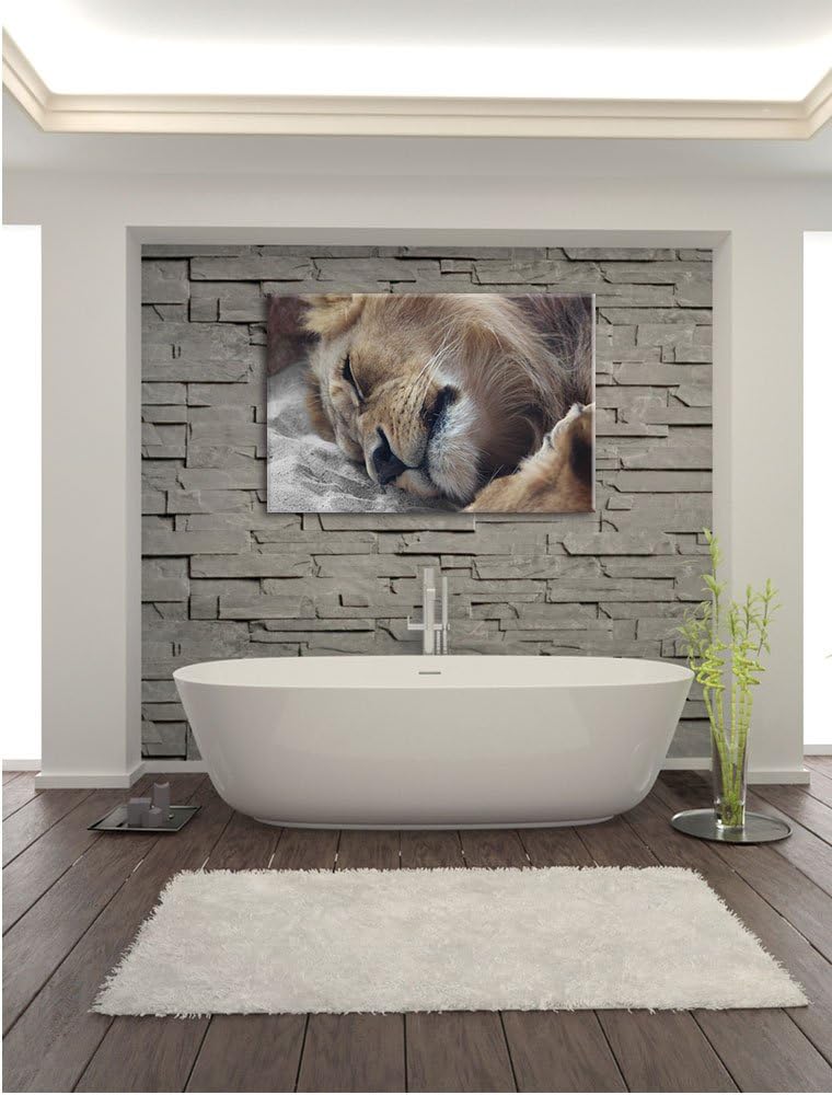 Pixxprint schlafender Löwe als Leinwandbild/Grösse: 120x80 cm/Wandbild/Kunstdruck/fertig bespannt, 1
