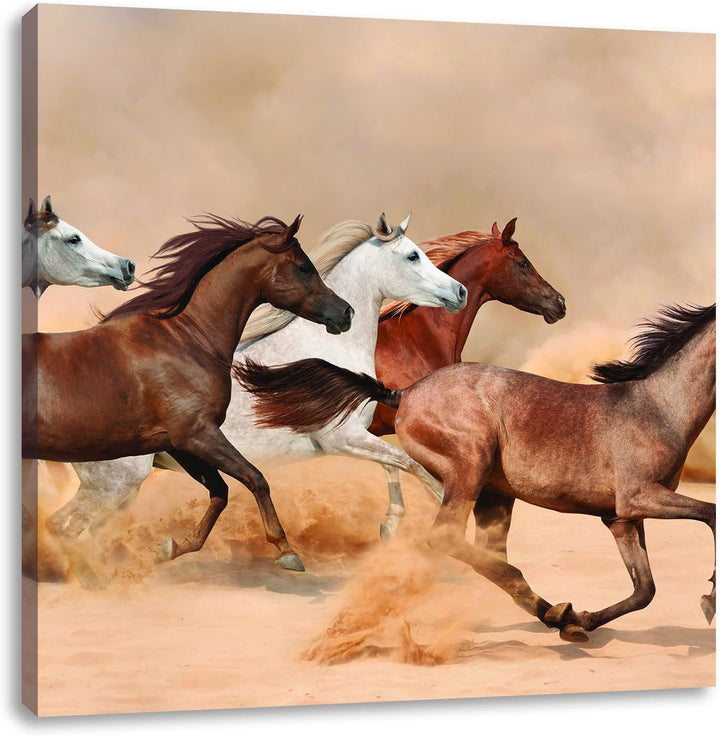 Western Pferde in Wüste, Format: 70x70 auf Leinwand, XXL riesige Bilder fertig gerahmt mit Keilrahme
