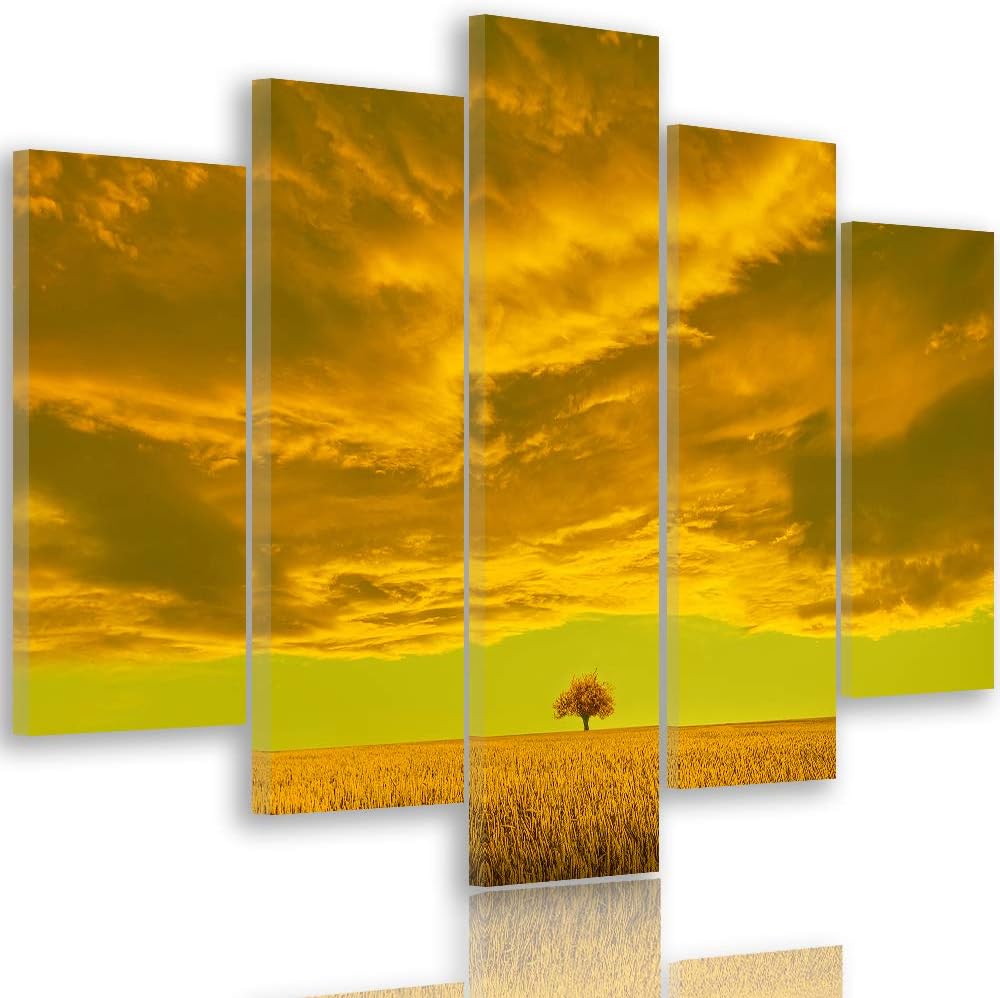 Feeby Bilder Abstrakt 300x140 cm - Leinwandbild 5 Teilig XXL Kunstdruck Wiese Wolke orange Leinwandb