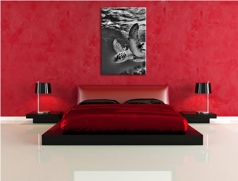 Pixxprint Schildkröte im Riff als Leinwandbild/Grösse: 100x70 cm/Wandbild/Kunstdruck/fertig bespannt