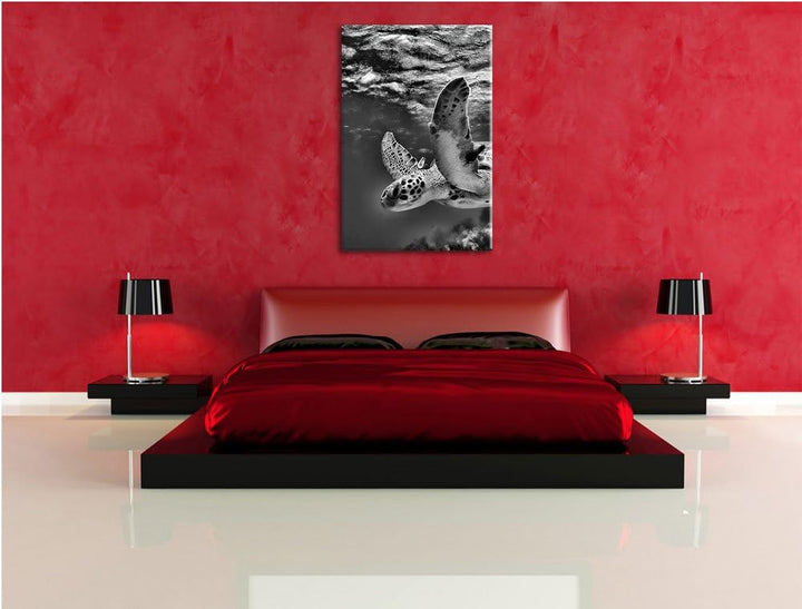 Pixxprint Schildkröte im Riff als Leinwandbild/Grösse: 100x70 cm/Wandbild/Kunstdruck/fertig bespannt