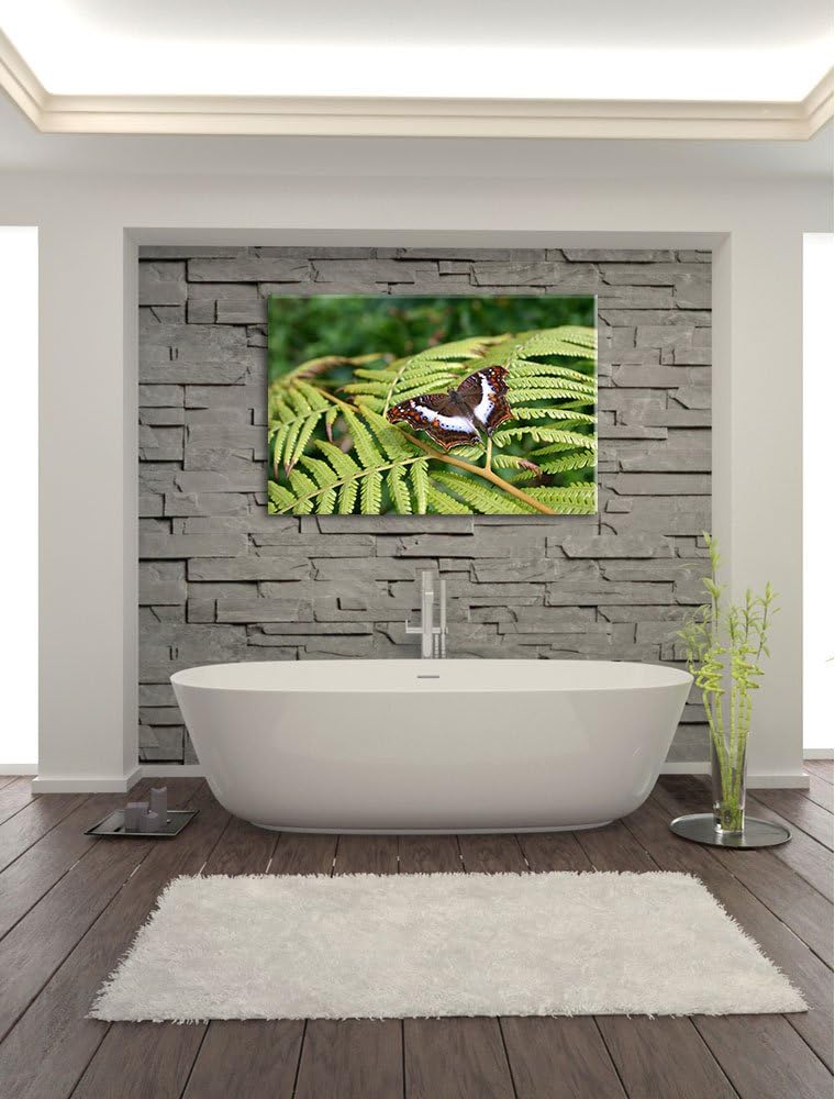 zarter Schmetterling auf Farnblatt auf Leinwand, XXL riesige Bilder fertig gerahmt mit Keilrahmen, K