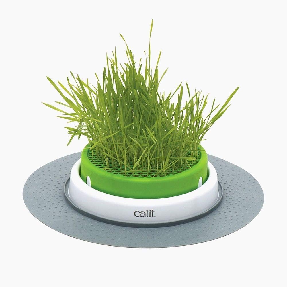 Catit Futterbaum - Food Tree & Grastopf - Grass Planter Bundle mit Grass Planter, Bundle mit Grass P
