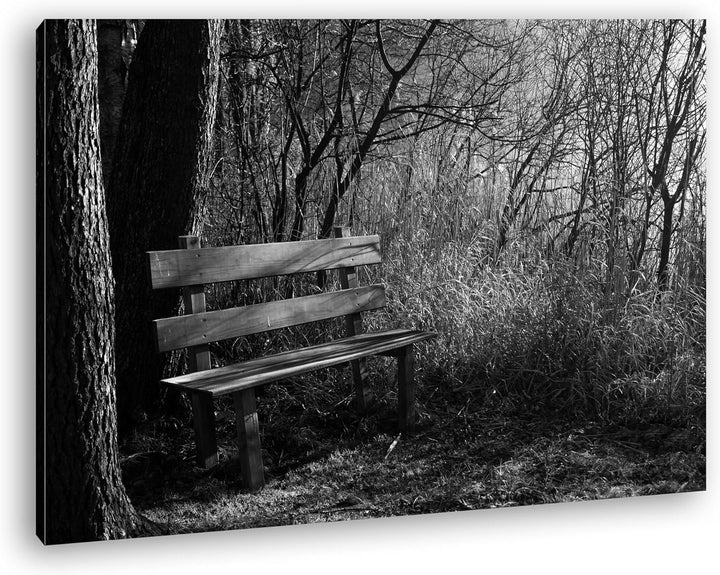 deyoli einsame Bank im Wald Format: 60x40 Effekt: Schwarz/Weiss als Leinwandbild Motiv fertig gerahm