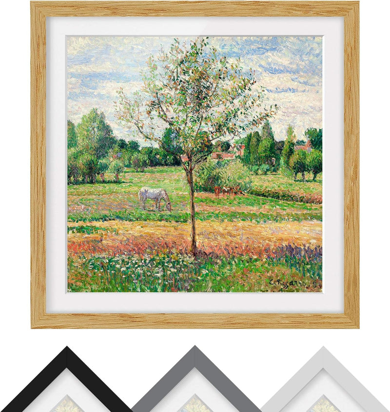 Bild mit Rahmen - Camille Pissarro - Wiese mit Schimmel - Eiche, 70 x 70 cm 70cm x 70cm Eiche, 70cm