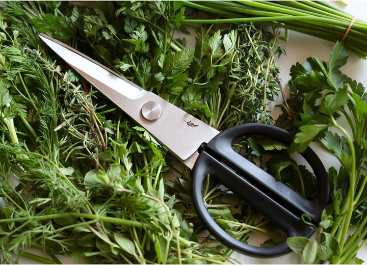 KAI BK-0202 VE5 Michel Bras Kitchen Scissors