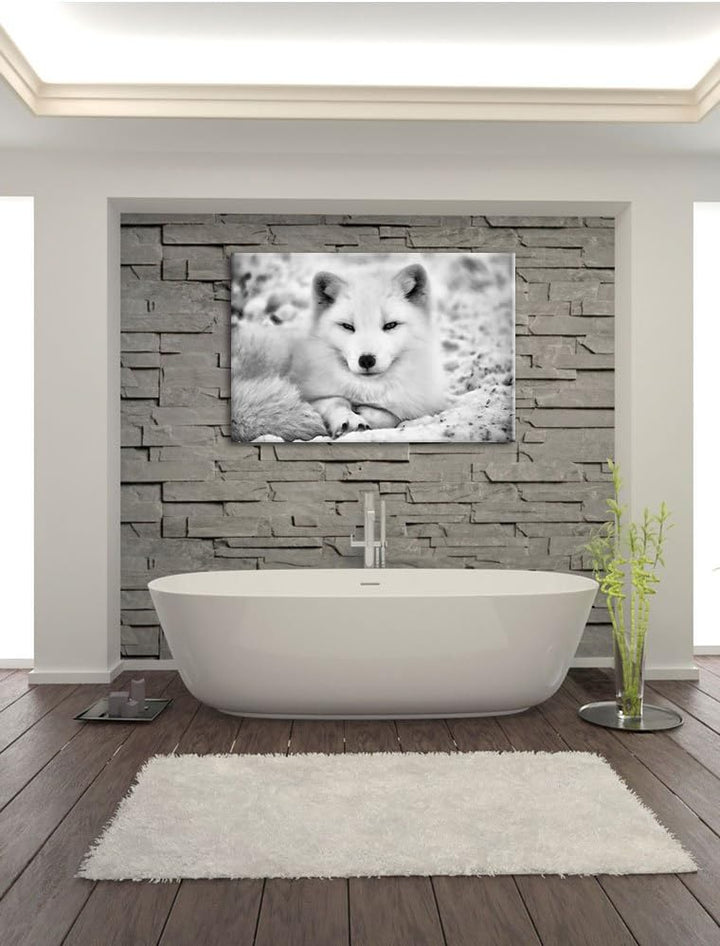 Monocrome, Weisser Fuchs, Format: 100x70 auf Leinwand, XXL riesige Bilder fertig gerahmt mit Keilrah