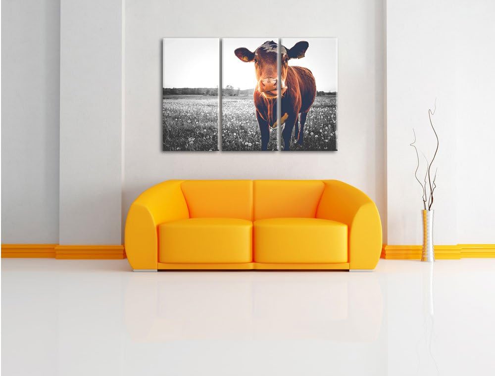 Pixxprint Kuh auf Butterblumenwiese als Leinwandbild/Grösse: 3 Teilig (120x80 cm) cm/Wandbild/Kunstd