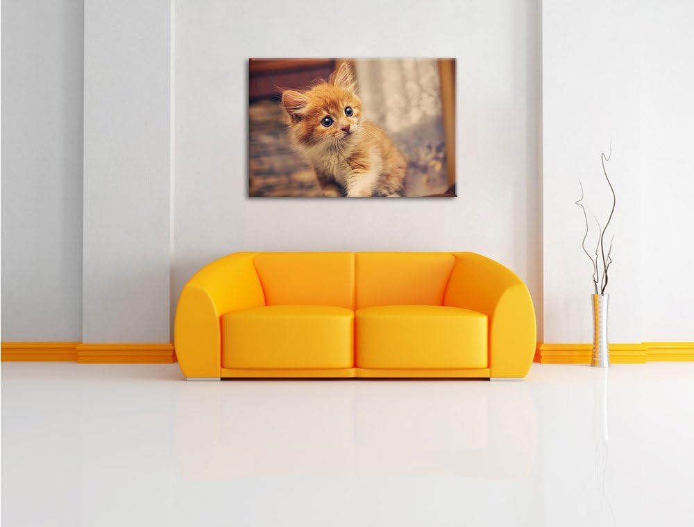 Neugieriges Kätzchen, Format: 100x70 auf Leinwand, XXL riesige Bilder fertig gerahmt mit Keilrahmen,