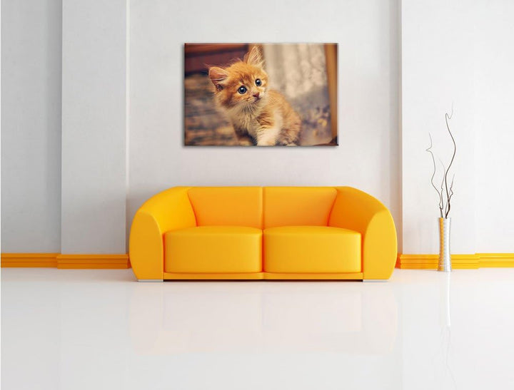 Neugieriges Kätzchen, Format: 100x70 auf Leinwand, XXL riesige Bilder fertig gerahmt mit Keilrahmen,