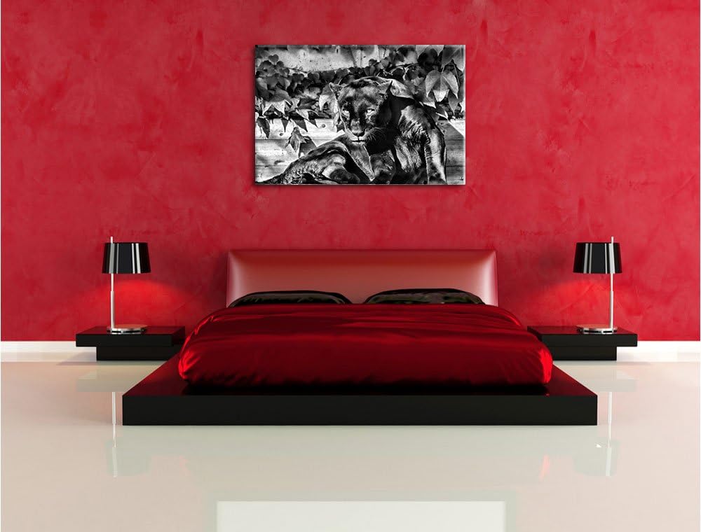 Pixxprint schwarzer Panther als Leinwandbild/Grösse: 100x70 cm/Wandbild/Kunstdruck/fertig bespannt,