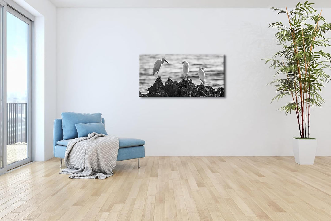 Vögel des Meeres Panorama 60x30 cm Effekt: Schwarz/Weiss als Leinwandbild, Motiv fertig gerahmt auf