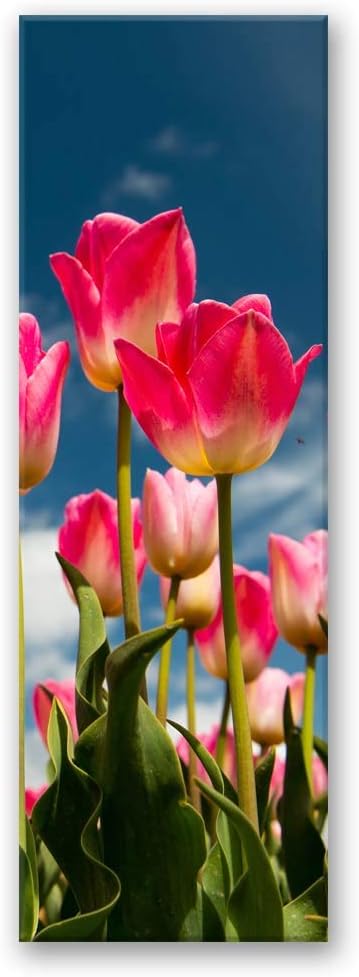 Wandbild Tulpen Modern Deko Kunst Bilder Blumen Rosa 30x90 cm M14010 30x90 cm, M14010 30x90 cm