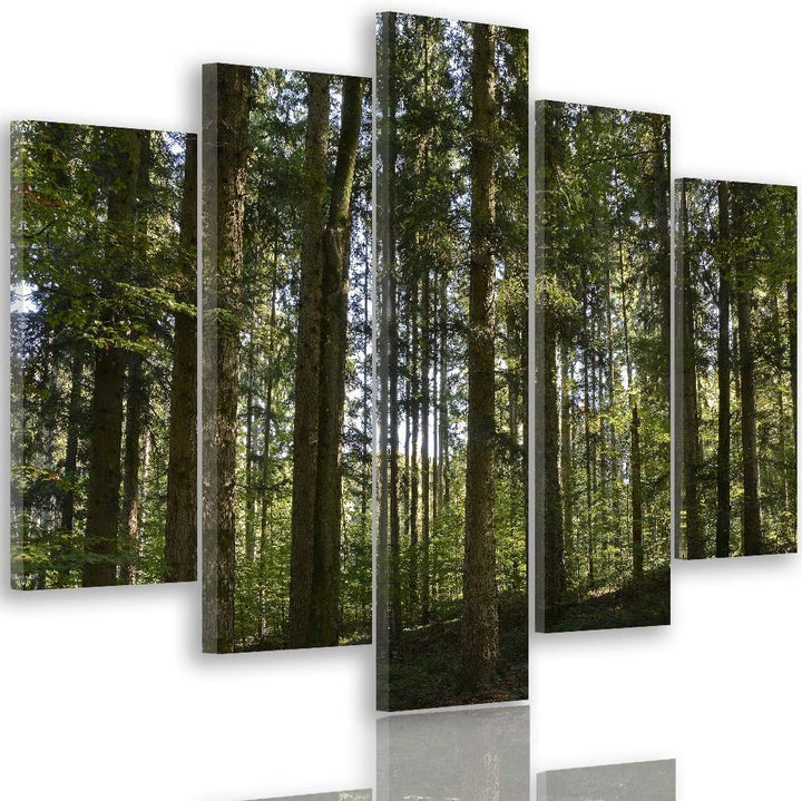 Feeby Leinwandbild Wald 5 TLG Bild Kunstdruck Landschaft Natur Bäume grün 100x70 cm Leinwandbild 100