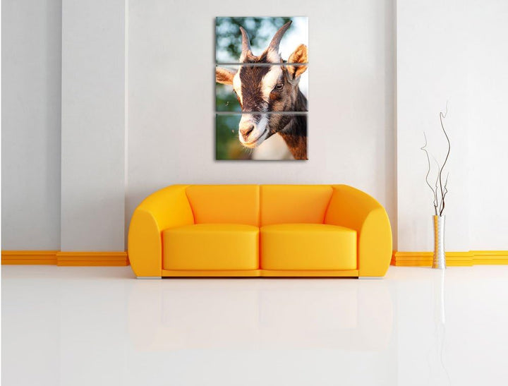 Pixxprint Niedliche Ziege als Leinwandbild/Grösse: 3 Teilig (120x80) / Wandbild/Kunstdruck/fertig be