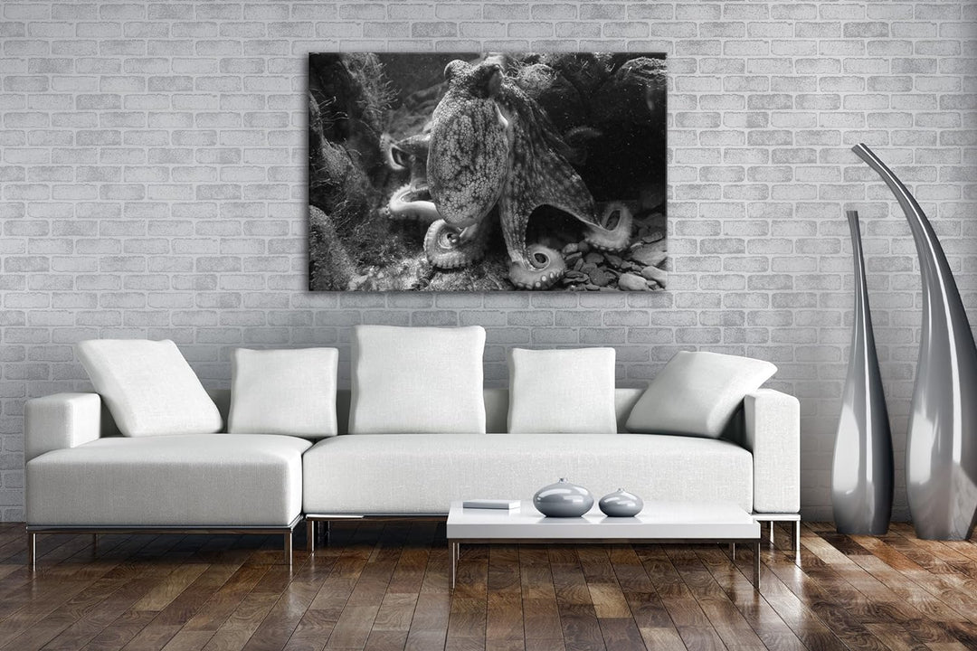 deyoli Oktopus am Korallenriff Effekt: Schwarz/Weiss Format: 80x60 als Leinwandbild, Motiv fertig ge