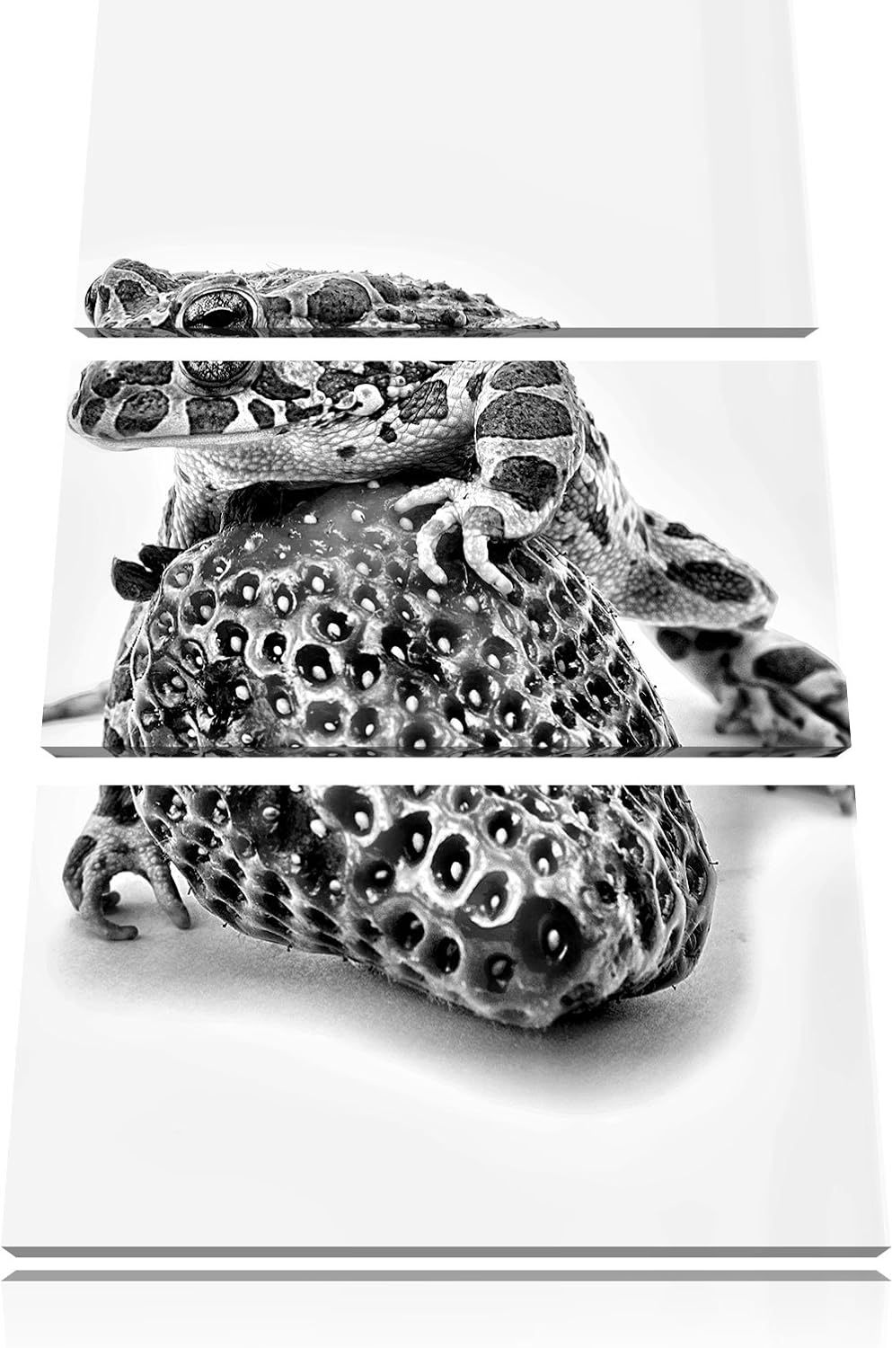 Pixxprint Monocrome, Strawberry Frog Glas Erdbeere Frosch 3-Teiler Leinwandbild 120x80 Bild auf Lein