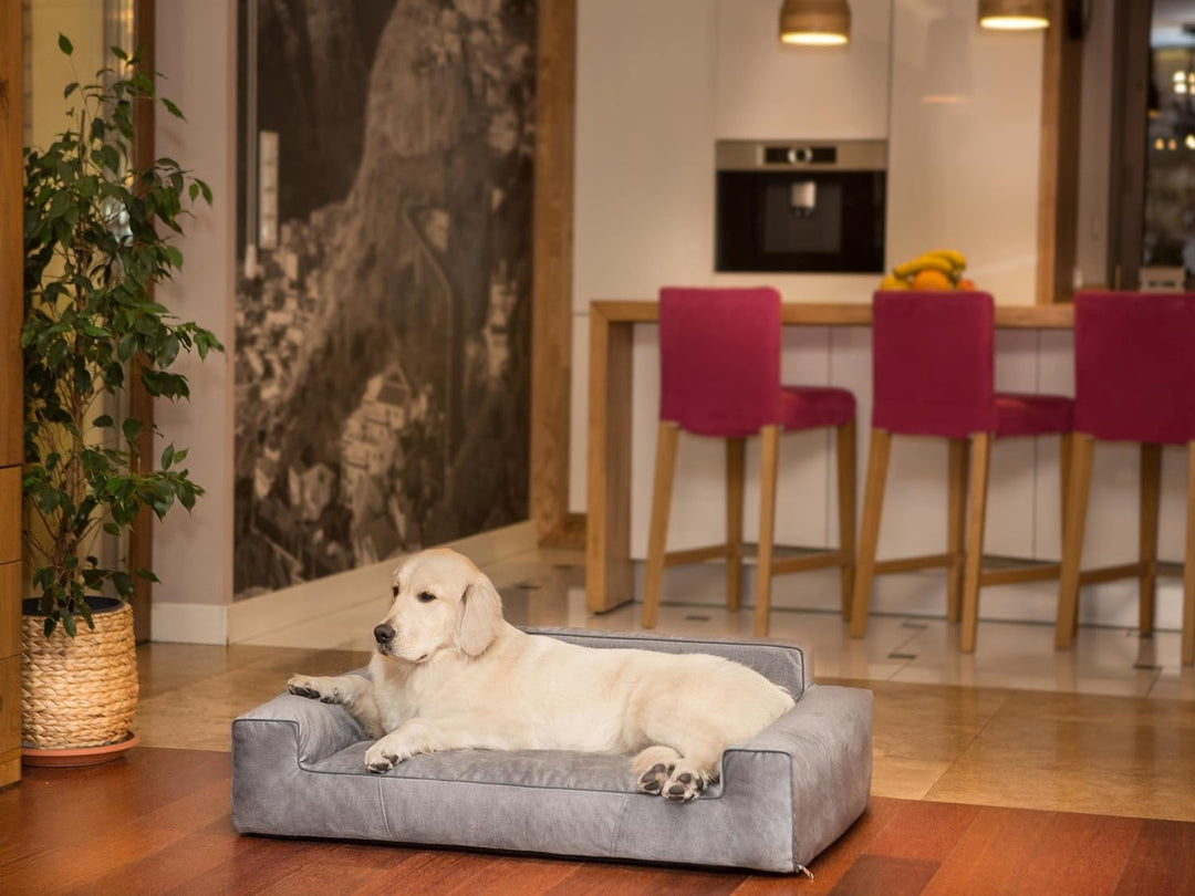Pillowprim Hundebett, Möbel für Tiere, Katzenbett, Abnehmbar Bezug, Hundeliege, Schlafplätze, grosse