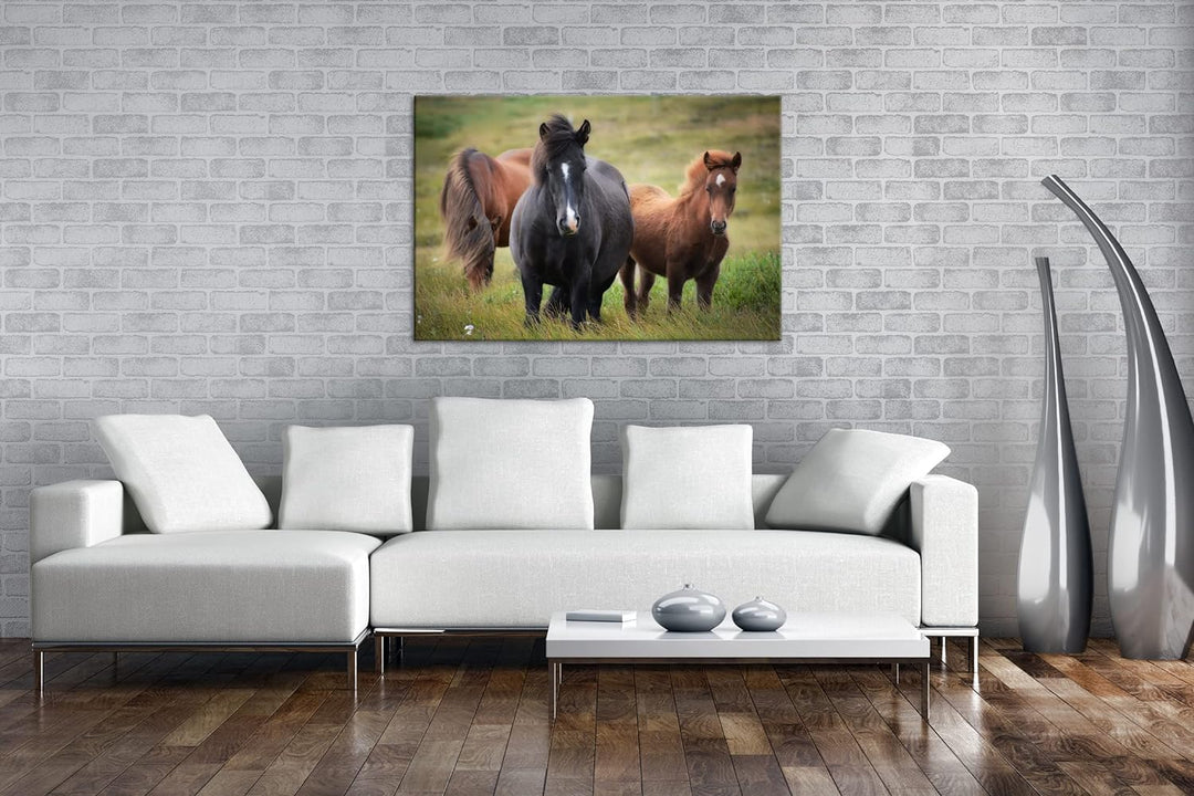 deyoli Pferdeherde auf der Feldlandschaft Format: 60x40 als Leinwand, Motiv fertig gerahmt auf Echth