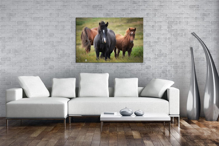 deyoli Pferdeherde auf der Feldlandschaft Format: 60x40 als Leinwand, Motiv fertig gerahmt auf Echth