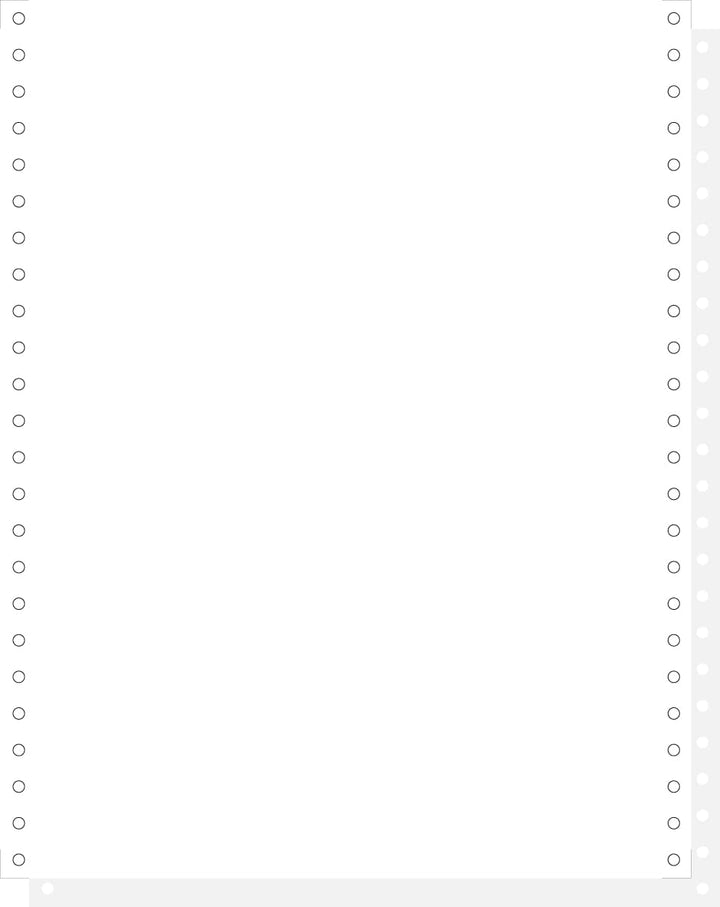 EXACOMPTA 62522E Computerpapier endlos, 240 mm x 12 Zoll (30,48 cm)