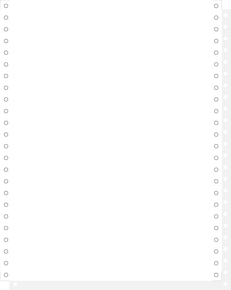 EXACOMPTA 62522E Computerpapier endlos, 240 mm x 12 Zoll (30,48 cm)