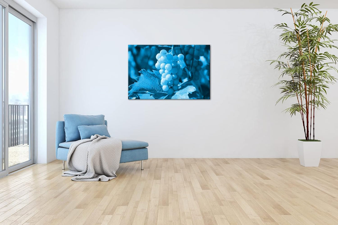 deyoli frische erntereife Weintrauben Format 80x60 Effekt: Monocrome Blau als Leinwandbild, Motiv fe